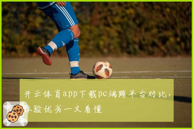 开云体育app下载pc端跨平台对比，体验优劣一文看懂
