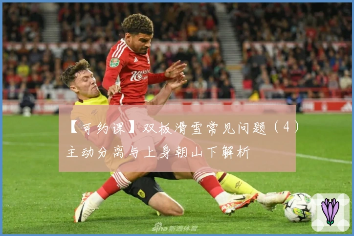 【可约课】双板滑雪常见问题（4）主动分离与上身朝山下解析