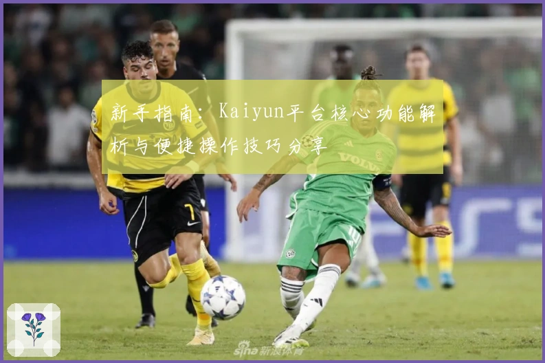 新手指南：Kaiyun平台核心功能解析与便捷操作技巧分享